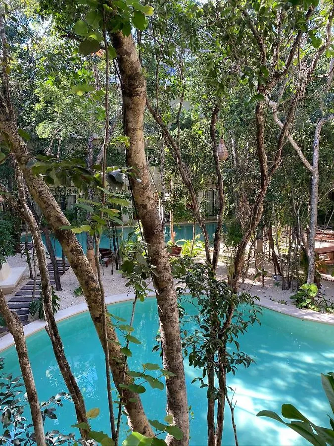 Appartamento Jungle View 2Bed 2Bath Condo/ Wi-Fi/ Pool/ Gym Tulum Messico