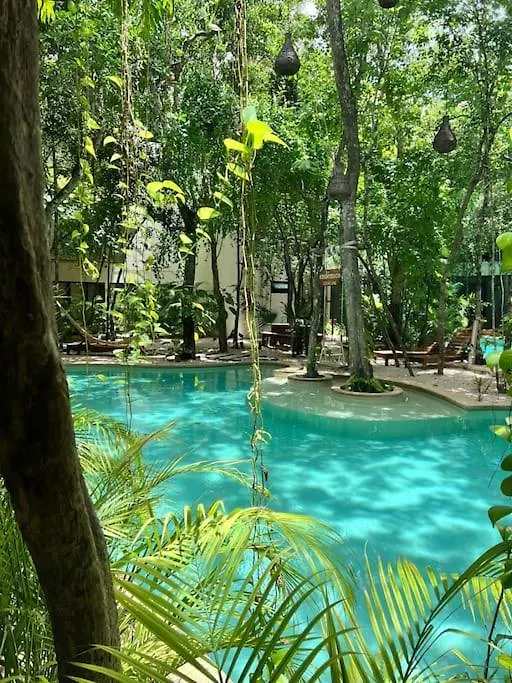 Appartamento Jungle View 2Bed 2Bath Condo/ Wi-Fi/ Pool/ Gym Tulum Messico